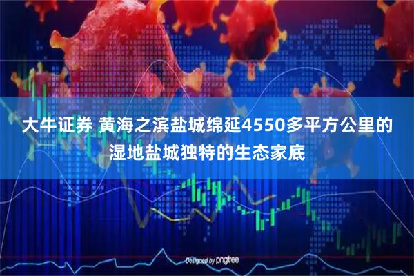 大牛证券 黄海之滨盐城绵延4550多平方公里的湿地盐城独特的生态家底