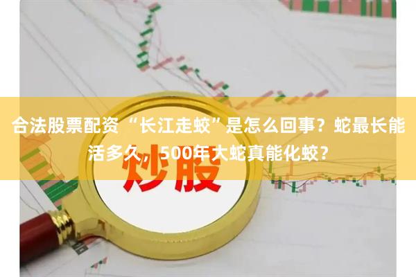 合法股票配资 “长江走蛟”是怎么回事？蛇最长能活多久，500年大蛇真能化蛟？