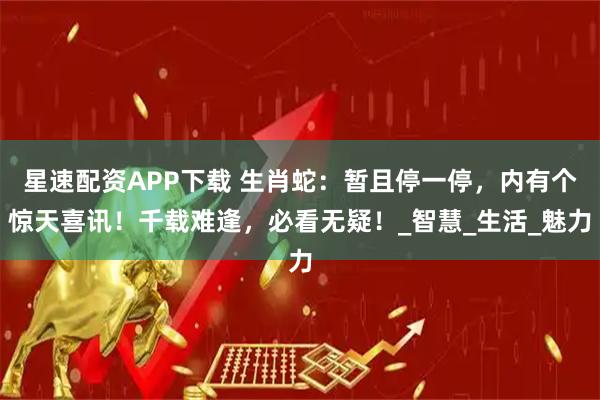 星速配资APP下载 生肖蛇：暂且停一停，内有个惊天喜讯！千载难逢，必看无疑！_智慧_生活_魅力