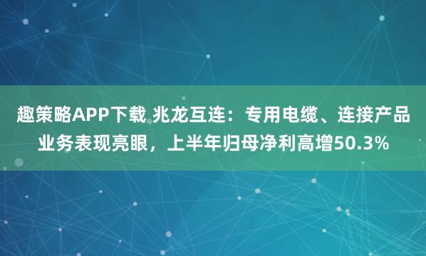 趣策略APP下载 兆龙互连：专用电缆、连接产品业务表现亮眼，上半年归母净利高增50.3%